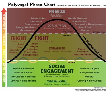 Polyvagal Phase Chart explains the Sympathetic SNS. Weimer, G. (2020) Polyvagal Theory – Part 4. Retrieved from: https://glenweimer.com/polyvagal-theory-part-4/