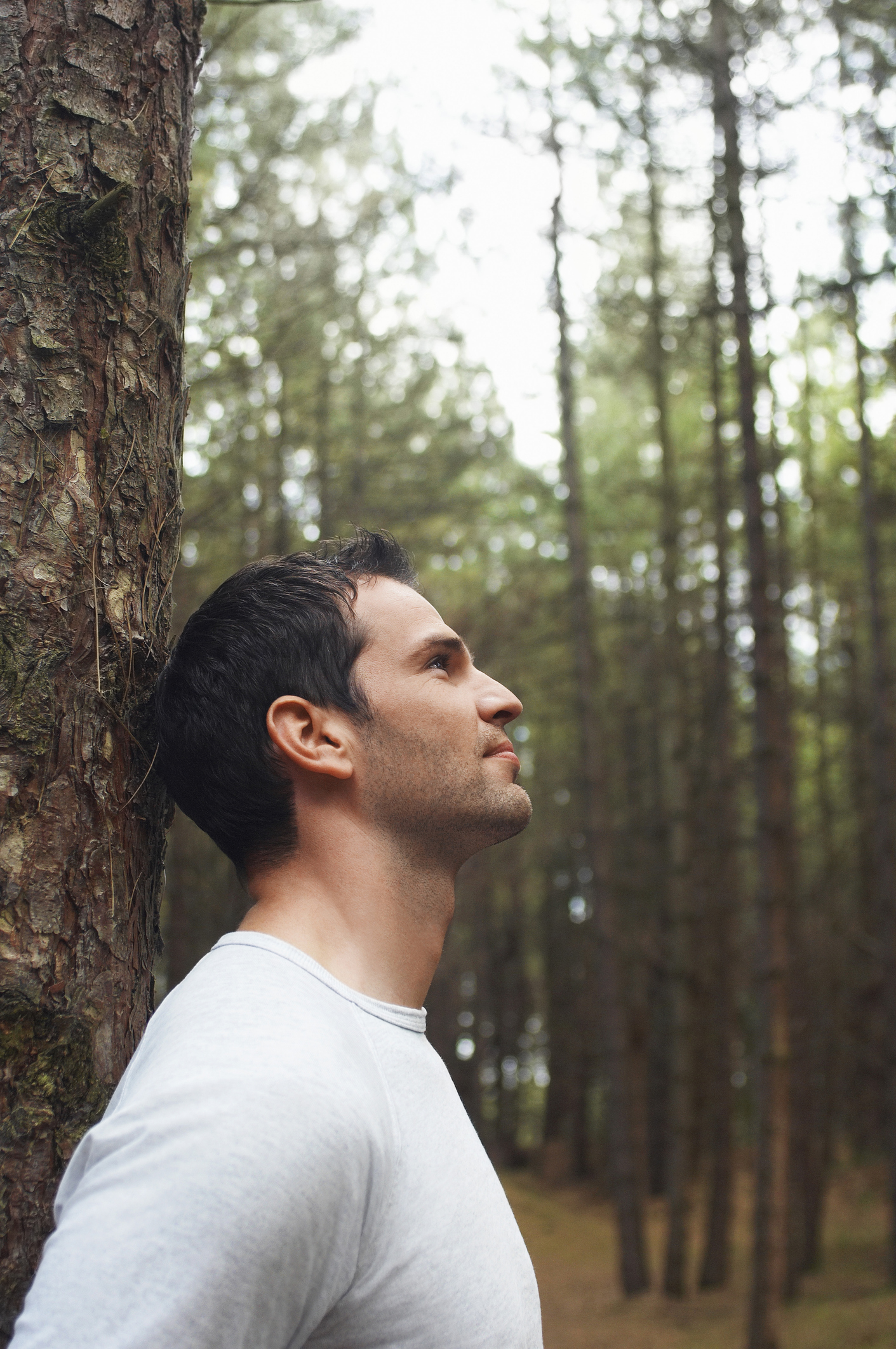 Man Leaning On Tree Trunk In Forest